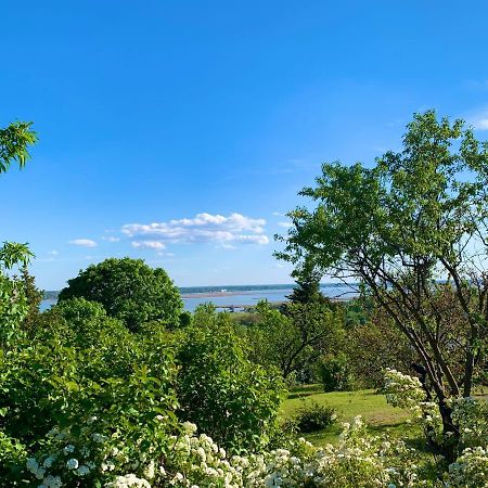 Velencei Vadregenyes Vendeghaz Villa Exterior foto