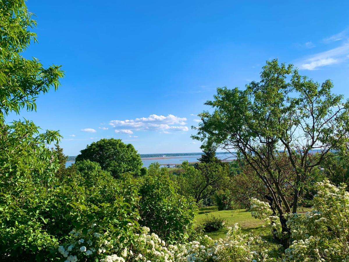 Velencei Vadregenyes Vendeghaz Villa Exterior foto